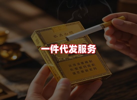 专业团队